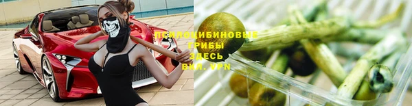 ешки Алексеевка