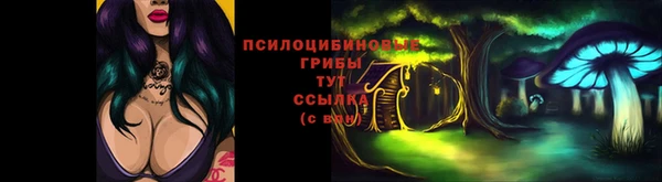 ешки Алексеевка