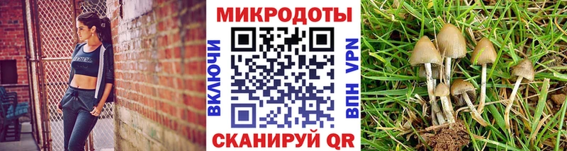 Псилоцибиновые грибы мухоморы  блэк спрут зеркало  Калининск 
